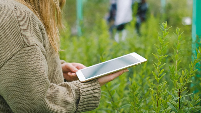 Precision Intelligence for Sustainable Agriculture